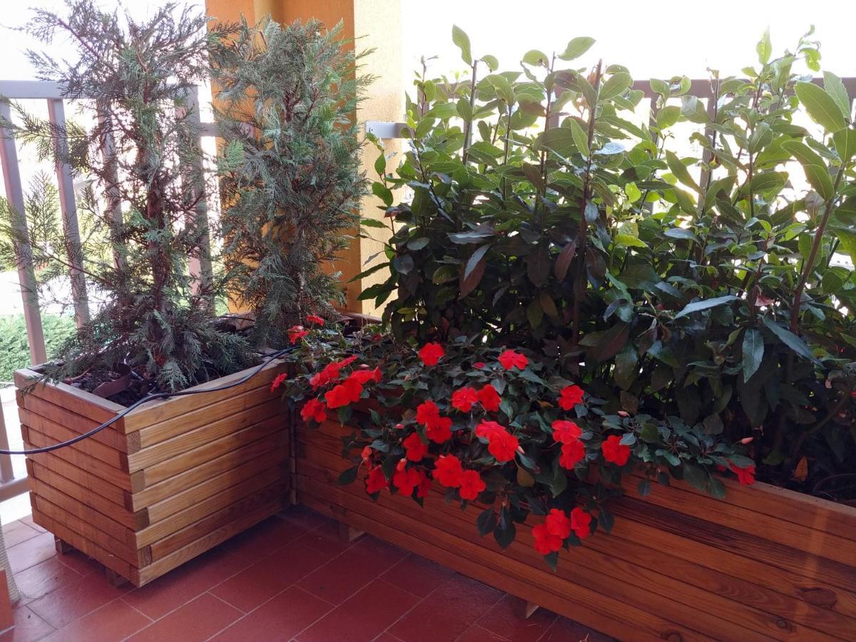 Apartment 'la Quercia' Floor Flat Verona