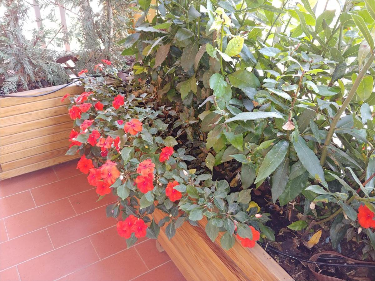 Appartement 'la Quercia' Floor Flat *